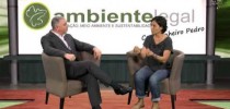 “Todos somos agentes políticos”