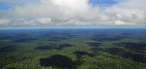 1200px-Amazon_CIAT_(5)