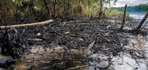 Petróleo que vazou de oleodutos na Amazônia equatoriana