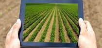 Agro-no-tablet