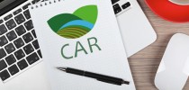 CAR (1)