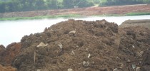 Material depositado nas margens da lagoa - lixo