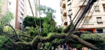 Um perigo constante a cada temporal: enchentes e quedas de árvores.