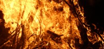 Incêndios Florestais