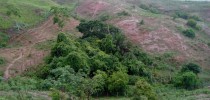 Nascente_site_2