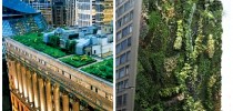 Telhados-Verdes-e-jardins-verticais-624x468