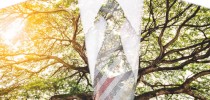 Double Exposure Businessman in Suit with Big Tree with Bright Sunlight