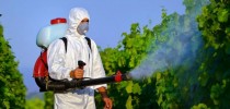 agrotoxico-agricultura