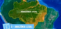 amazonalegal