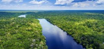 amazonia