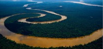 amazonia7