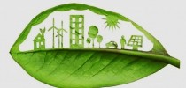 ambiental