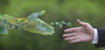 ambiental