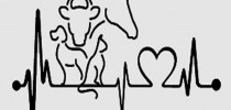 animais