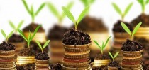 Dinheiro deve ser investido em bases sustentáveis