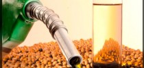 biodiesel2