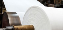 biotecnologia-na-industria-de-papel-e-celulose