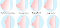 breast-shapes-new