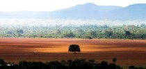 Alto Paraíso (GO) - Área de cerrado desmatada para plantio no município de Alto Paraíso (Marcelo Camargo/Agência Brasil)