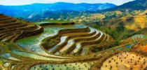 china4