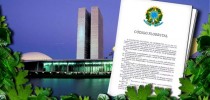 codigo-florestal-01