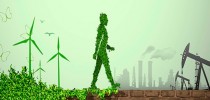 compensacao-ambiental-peq