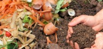 compostagem