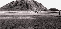 Cientistas russos chegam às crateras siberianas - aspecto de gargalos destampados de garrafas de champagne