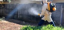 Nebulização do veneno no combate ao mosquito da dengue.