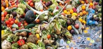 desperdivioalimentos