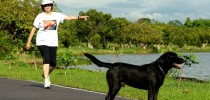 dilma-rousseff-caminha-com-cachorro-labrador-nego