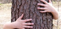 educacao-ambiental
