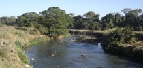 Rio Meia Ponte encontra-se com nível baixo de água| Divulgação