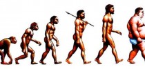 evolucao