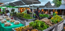 feira-da-agricultura-familiar-2-3-1024x576
