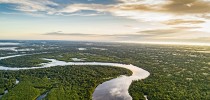 floresta-amazonia-2019