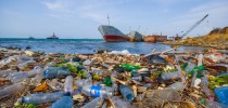 COLON, PANAMA - APRIL 15, 2015: Enviromental Pollution washing ashore next to the Panama Canal in the beach