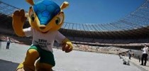 fuleco