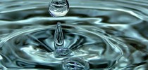 gota (2)