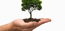 licenciamento_ambiental_adalberto_foto