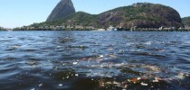 Lixo no mar da Baía de Guanabara