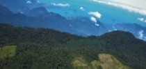 Mata Atlântica (imagem Sosma)