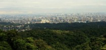 São Paulo e área remanescente da Mata Atlântica (Imagem rma.org)