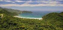 mataatlantica