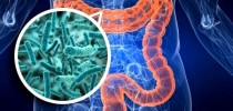 microbiota-intestinal-600x330