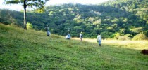 monitoramento-810x420