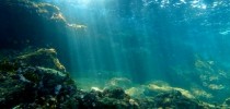 A Década do Oceano foi proposta pela ONU para conscientizar a população sobre a importância dos oceanos e para mobilizar atores em ações que favoreçam a saúde e a sustentabilidade dos mares.