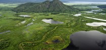 Pantanal
