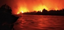 Pantanal, Campo Grande News (Foto: Corpo de Bombeiros)
