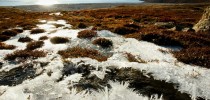 Permafrost na Groenlândia. Foto: Adwo / Shutterstock.com